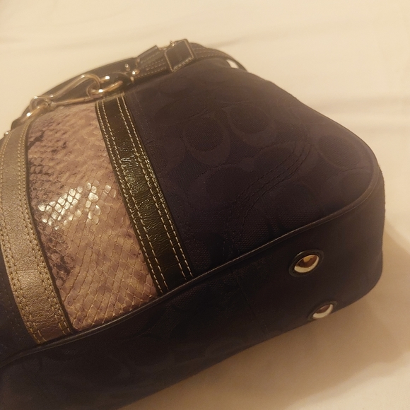 COACH AUTHENTIC SIGNATURE BROWN BY PYTHON - Picture 2 of 16